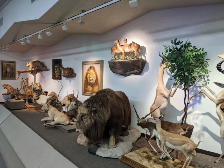 Museos… para disfrutar y aprender