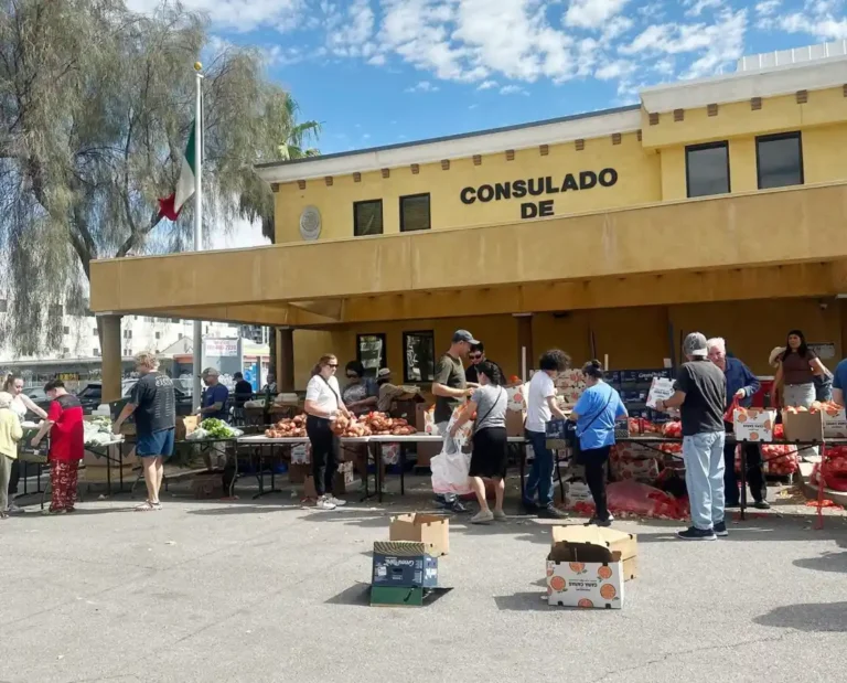 Mesas informativas, despensas…