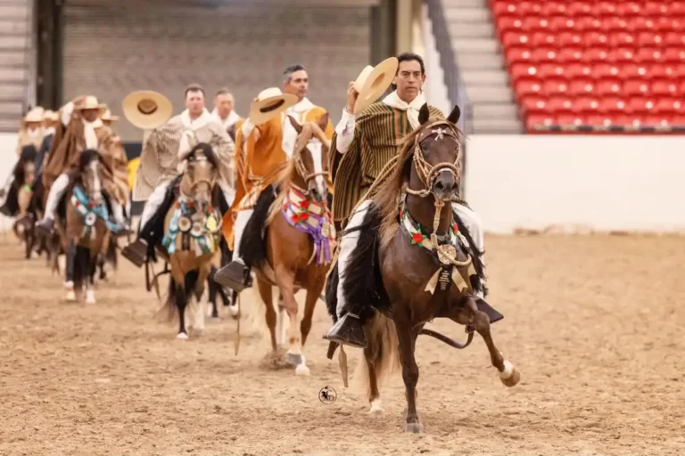 Gold Rush Classic Peruvian Horse