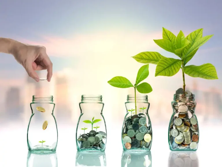 Presupuesto, ahorro e inversión