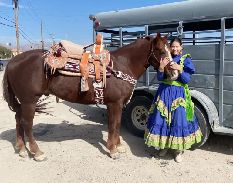 ‘Día Mundial del caballo’