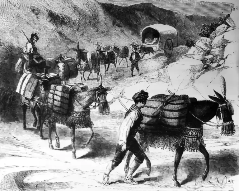 Arrieros somos y en el camino andamos