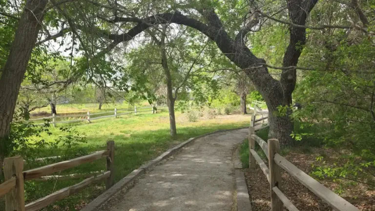 Un excelente paseo familiar
